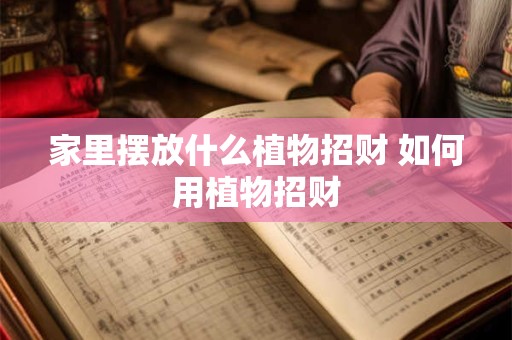 家里摆放什么植物招财 如何用植物招财