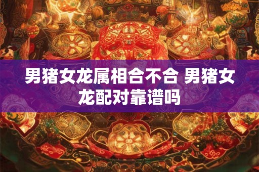 男猪女龙属相合不合 男猪女龙配对靠谱吗