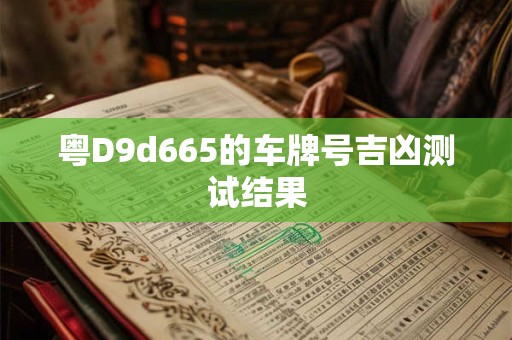粤D9d665的车牌号吉凶测试结果