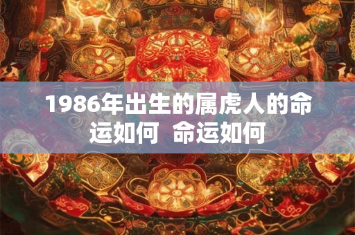 1986年出生的属虎人的命运如何  命运如何