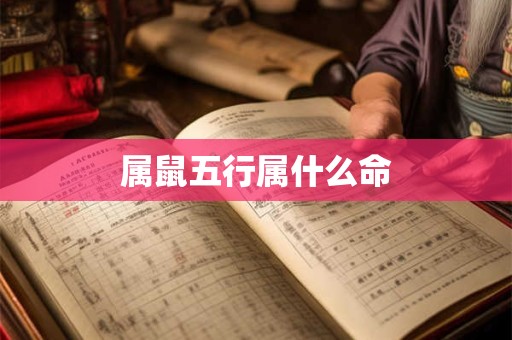 属鼠五行属什么命