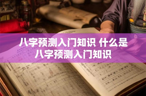 八字预测入门知识 什么是八字预测入门知识