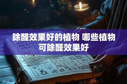 除醛效果好的植物 哪些植物可除醛效果好