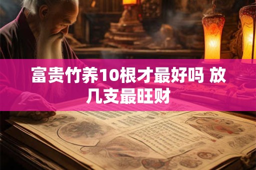富贵竹养10根才最好吗 放几支最旺财