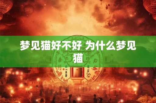 梦见猫好不好 为什么梦见猫