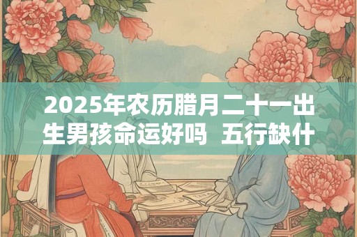2025年农历腊月二十一出生男孩命运好吗  五行缺什么