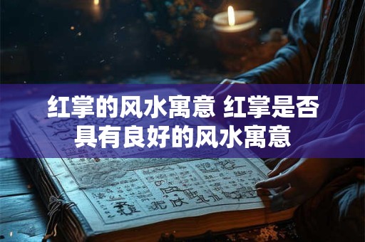 红掌的风水寓意 红掌是否具有良好的风水寓意