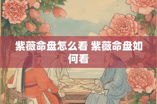 紫薇命盘怎么看 紫薇命盘如何看