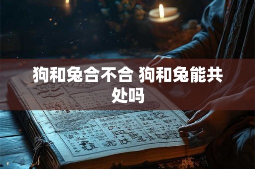 狗和兔合不合 狗和兔能共处吗