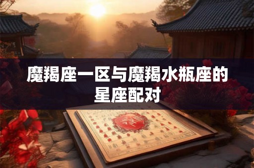 魔羯座一区与魔羯水瓶座的星座配对