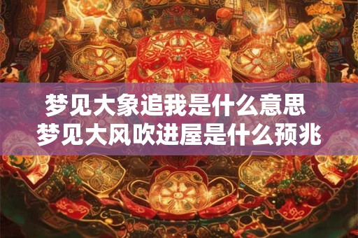 梦见大象追我是什么意思 梦见大风吹进屋是什么预兆
