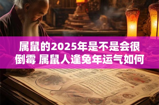 属鼠的2025年是不是会很倒霉 属鼠人逢兔年运气如何