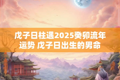 戊子日柱遇2025癸卯流年运势 戊子日出生的男命