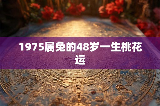 1975属兔的48岁一生桃花运