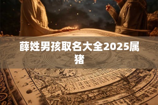 薛姓男孩取名大全2025属猪