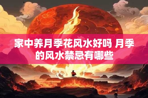 家中养月季花风水好吗 月季的风水禁忌有哪些