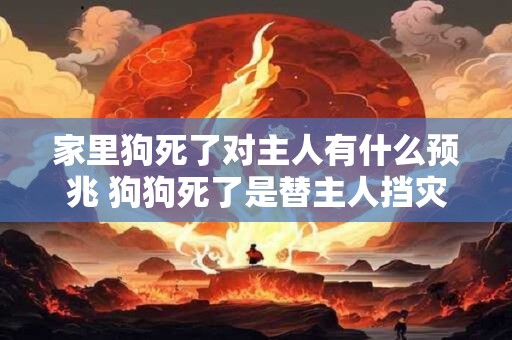 家里狗死了对主人有什么预兆 狗狗死了是替主人挡灾吗 家里狗死了对主人有什么预兆 狗狗死了是替主人挡灾吗