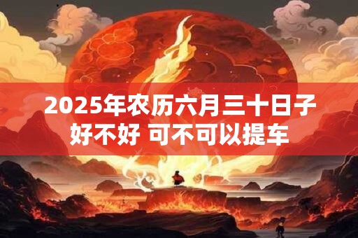 2025年农历六月三十日子好不好 可不可以提车