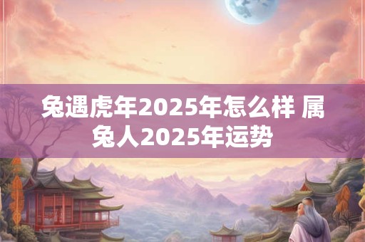 兔遇虎年2025年怎么样 属兔人2025年运势