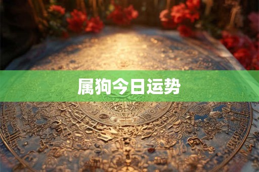 属狗今日运势