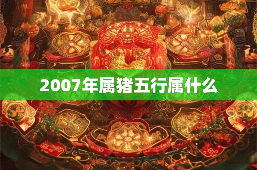 2007年属猪五行属什么
