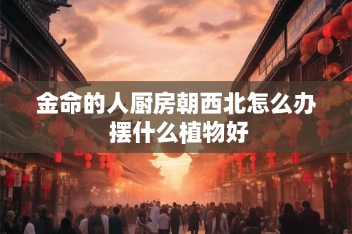 金命的人厨房朝西北怎么办 摆什么植物好
