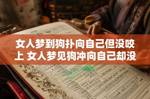 女人梦到狗扑向自己但没咬上 女人梦见狗冲向自己却没咬到