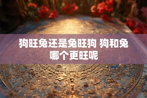 狗旺兔还是兔旺狗 狗和兔哪个更旺呢 狗旺兔还是兔旺狗 狗和兔哪个更旺呢