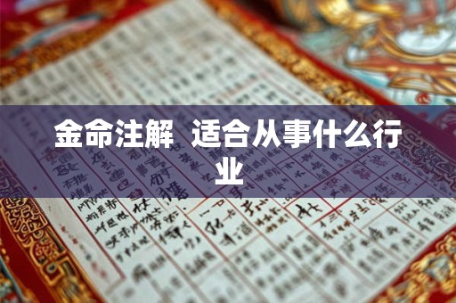金命注解  适合从事什么行业