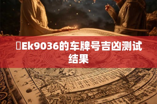 粵Ek9036的车牌号吉凶测试结果