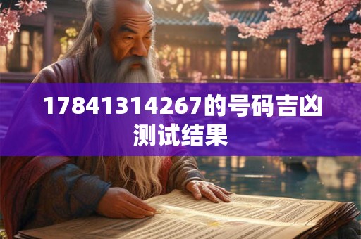 17841314267的号码吉凶测试结果
