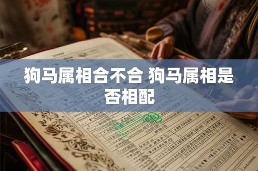 狗马属相合不合 狗马属相是否相配