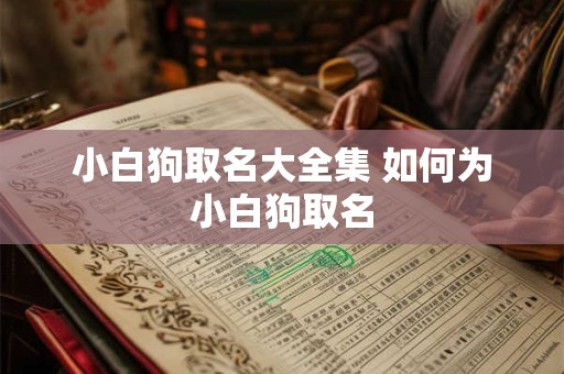 小白狗取名大全集 如何为小白狗取名