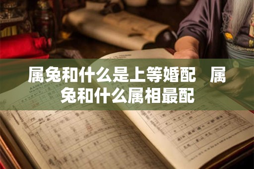 属兔和什么是上等婚配   属兔和什么属相最配
