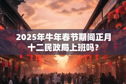 2025年牛年春节期间正月十二民政局上班吗？