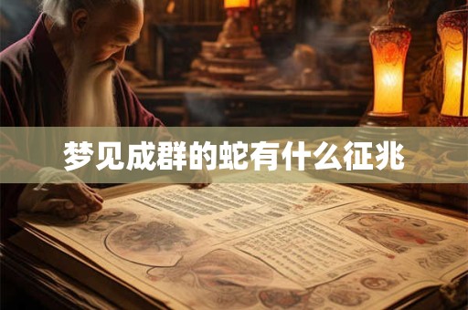 梦见成群的蛇有什么征兆