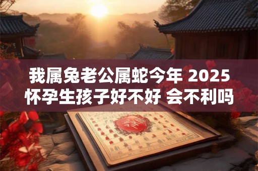 我属兔老公属蛇今年 2025怀孕生孩子好不好 会不利吗