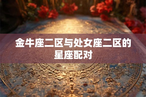 金牛座二区与处女座二区的星座配对