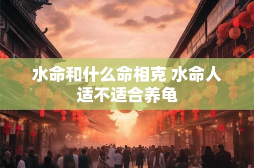 水命和什么命相克 水命人适不适合养龟