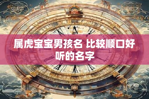 属虎宝宝男孩名 比较顺口好听的名字
