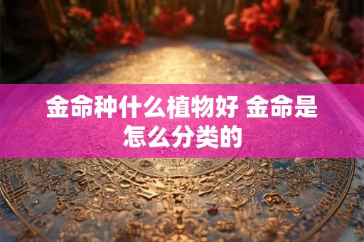 金命种什么植物好 金命是怎么分类的