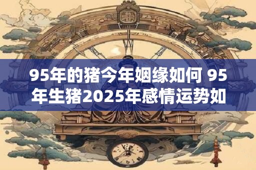 95年的猪今年姻缘如何 95年生猪2025年感情运势如何