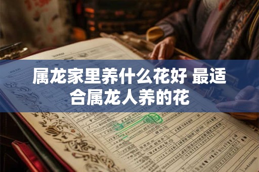 属龙家里养什么花好 最适合属龙人养的花