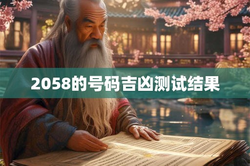 2058的号码吉凶测试结果