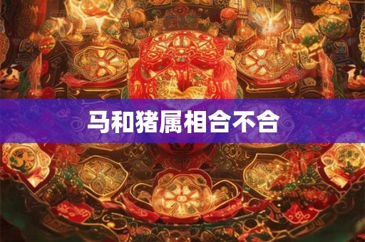 马和猪属相合不合