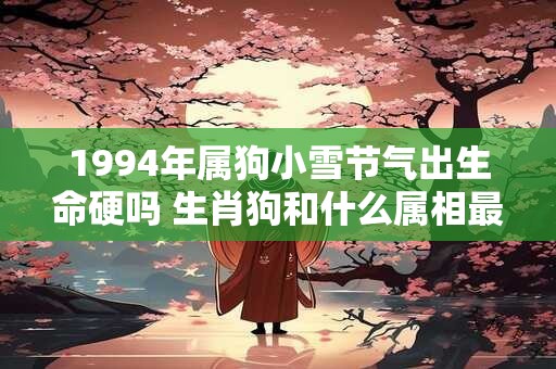 1994年属狗小雪节气出生命硬吗 生肖狗和什么属相最配