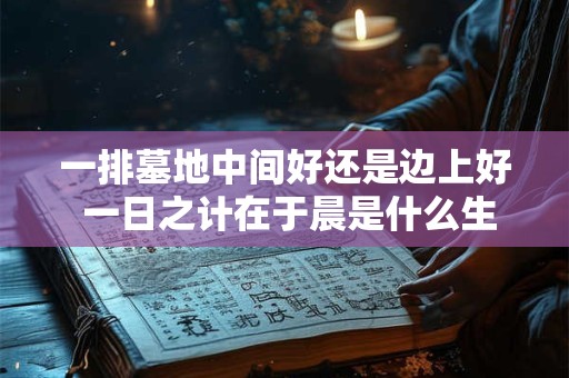 一排墓地中间好还是边上好 一日之计在于晨是什么生肖