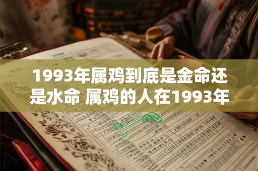 1993年属鸡到底是金命还是水命 属鸡的人在1993年是金命还是水命