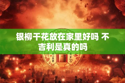 银柳干花放在家里好吗 不吉利是真的吗