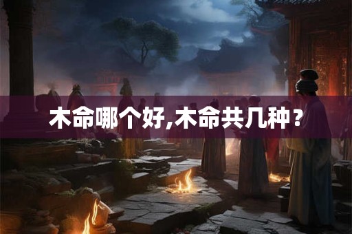 木命哪个好,木命共几种？